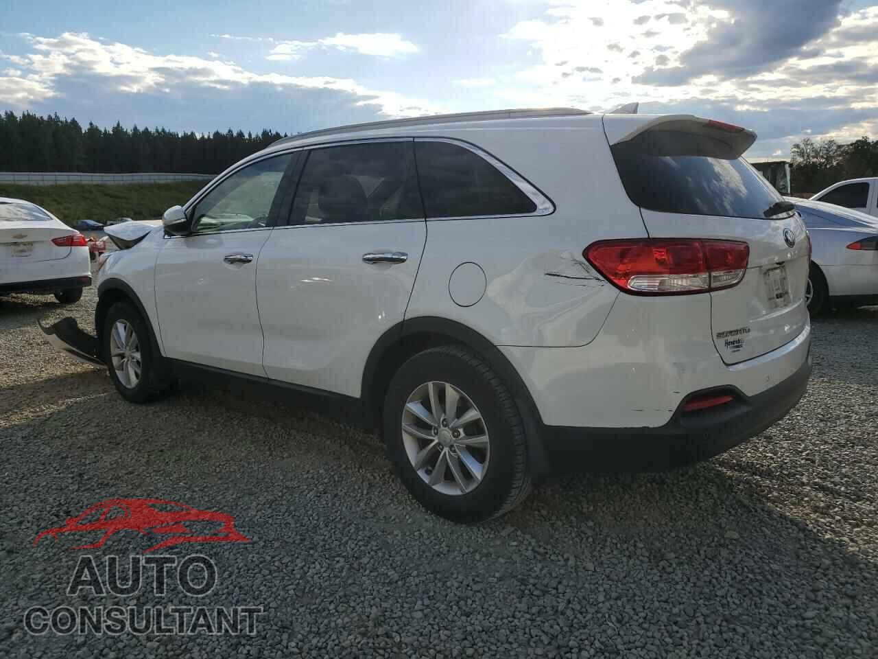 KIA SORENTO 2016 - 5XYPG4A32GG062689