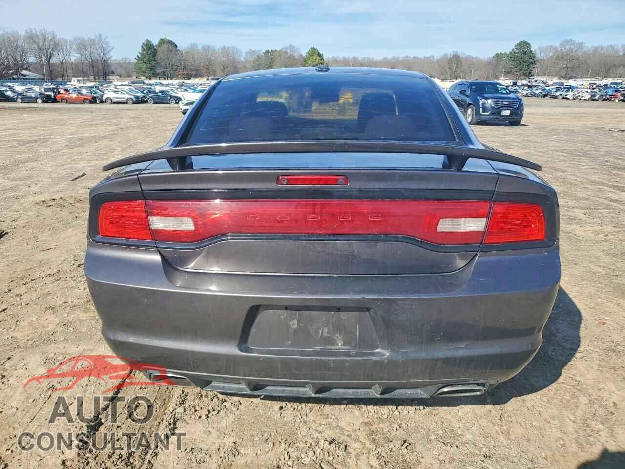 DODGE CHARGER 2013 - 2C3CDXCT1DH660649