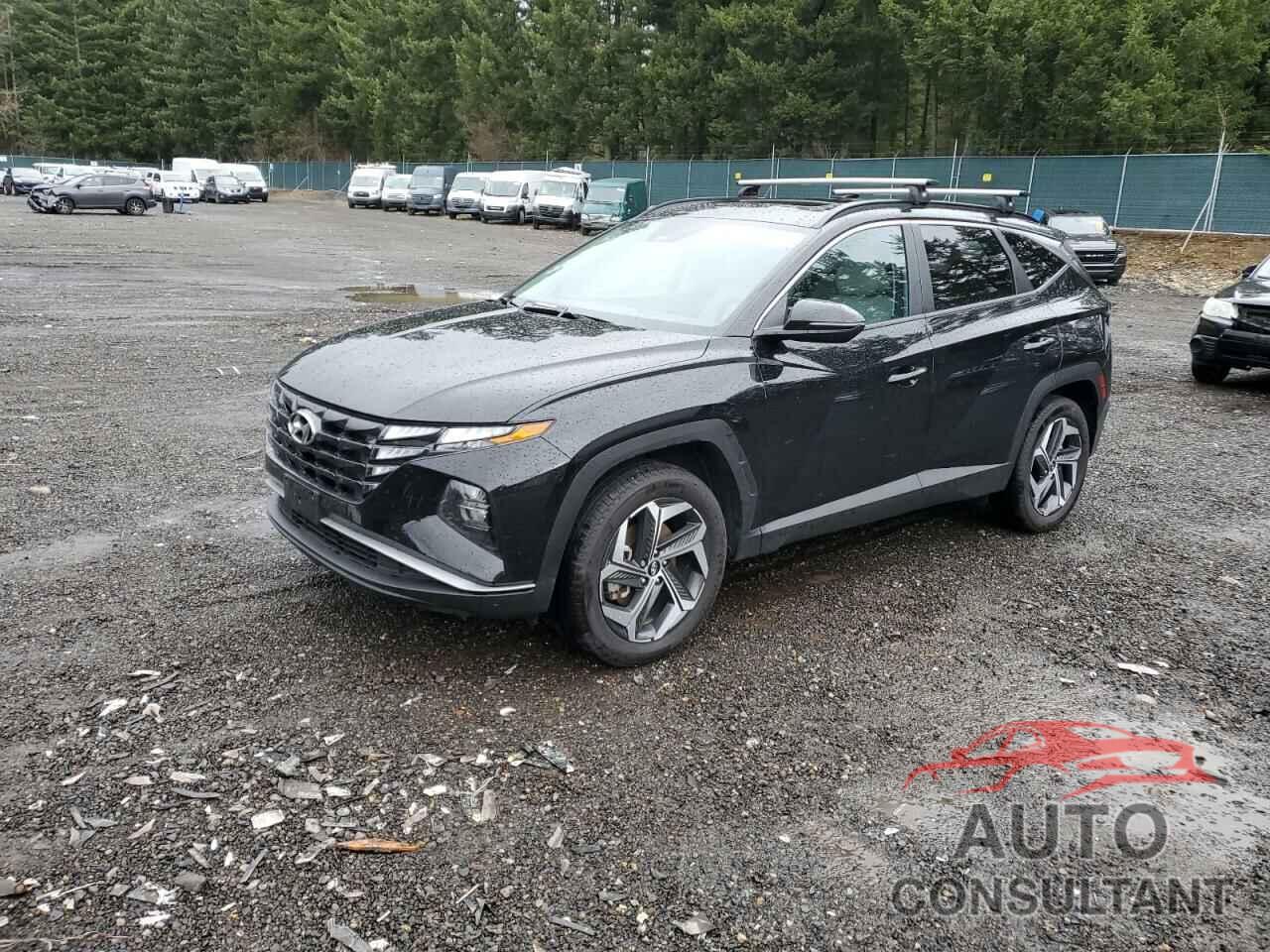 HYUNDAI TUCSON 2023 - 5NMJFCAE1PH168688