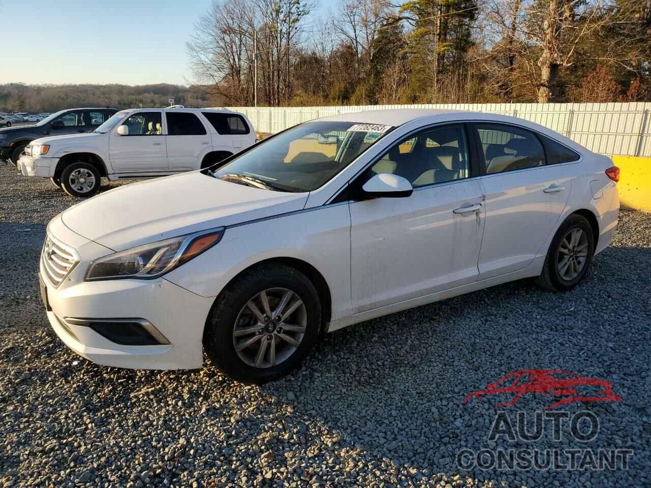 HYUNDAI SONATA 2017 - 5NPE24AF6HH541837