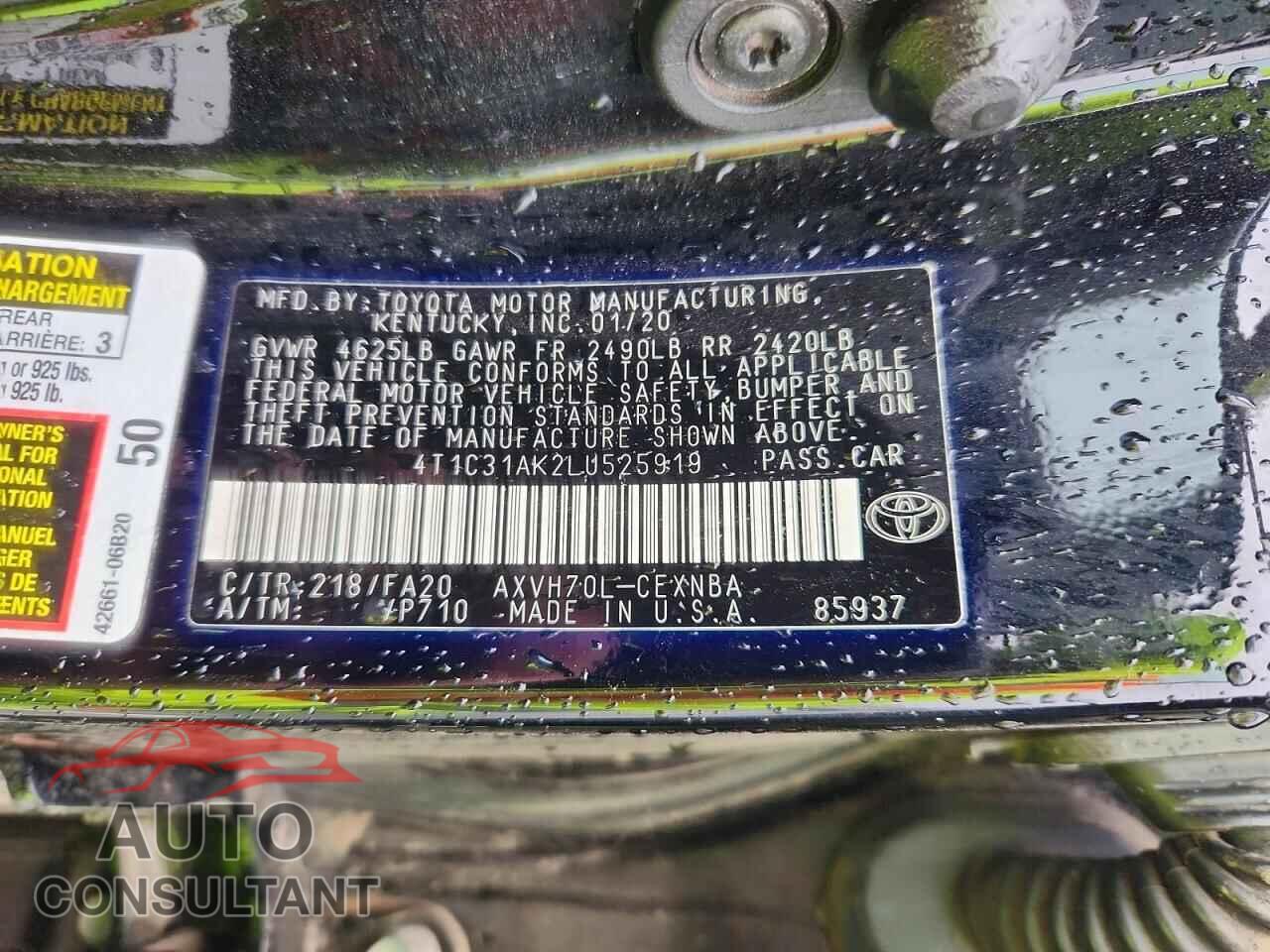 TOYOTA CAMRY 2020 - 4T1C31AK2LU525919