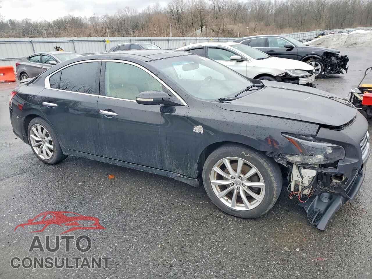 NISSAN MAXIMA 2011 - 1N4AA5AP1BC813042