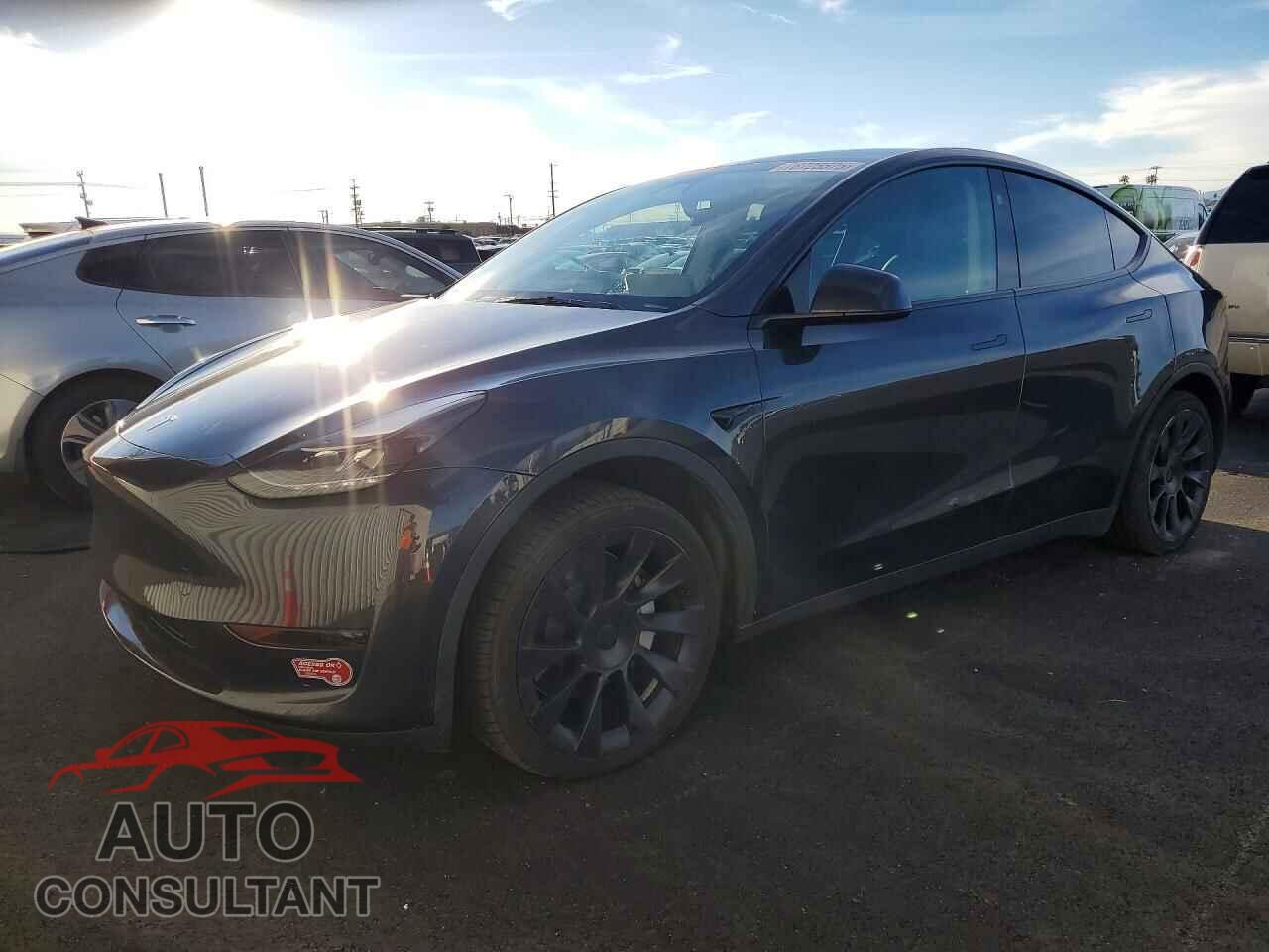 TESLA MODEL Y 2024 - 7SAYGDED4RF052024