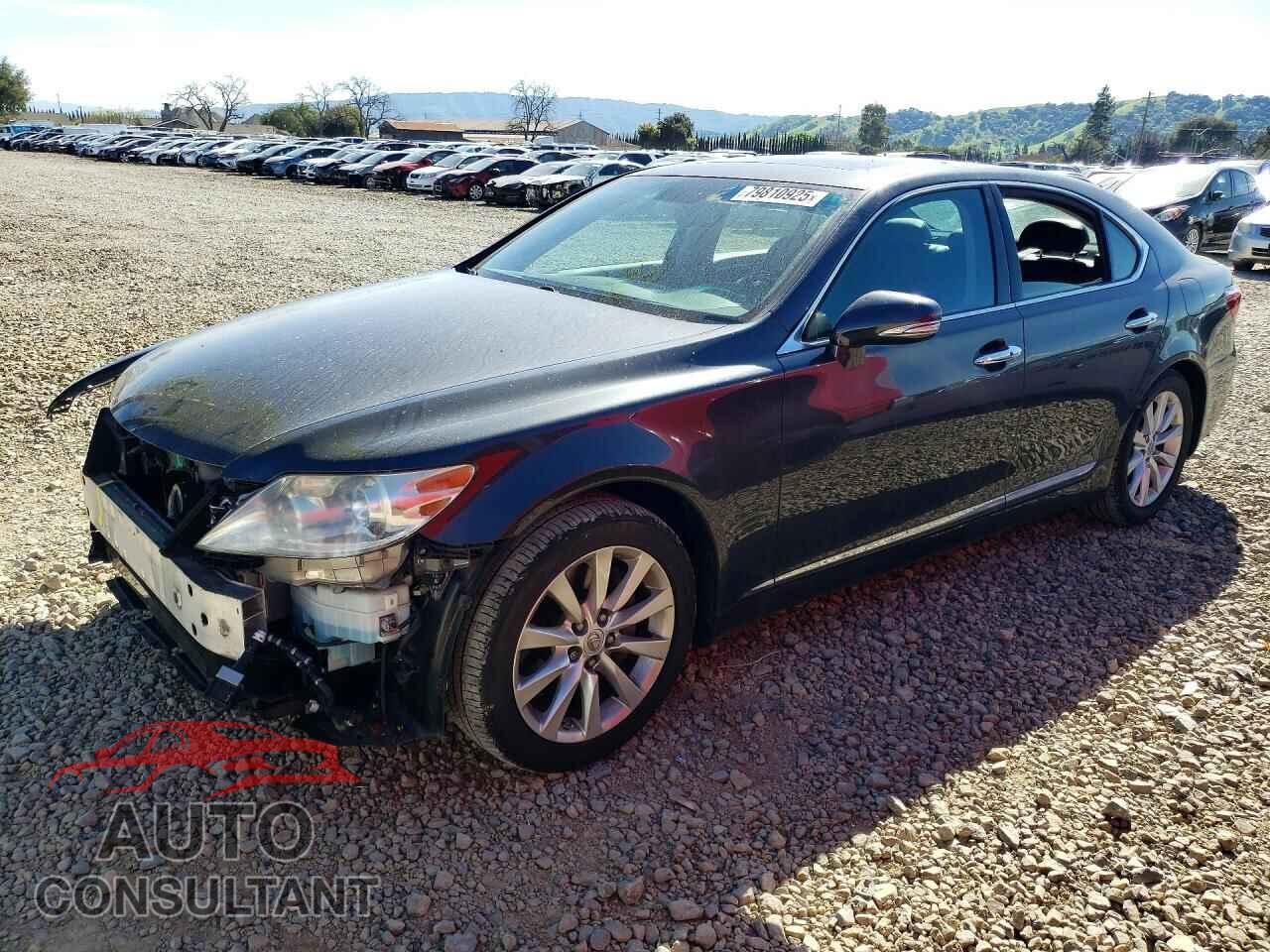 LEXUS LS 460 2010 - JTHBL5EF3A5100655