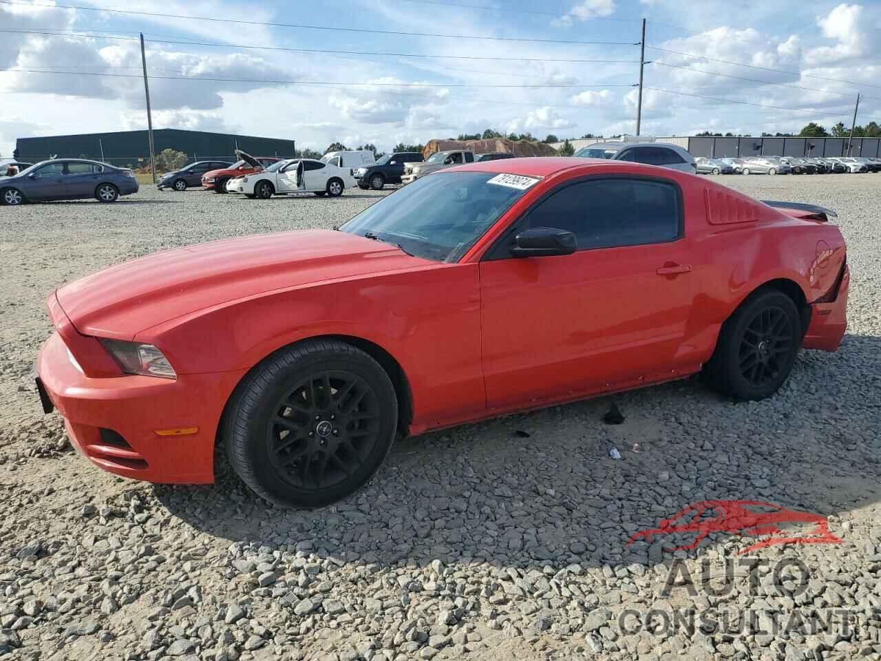 FORD ALL Models 2014 - 1ZVBP8AM2E5246799