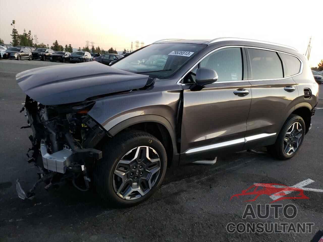 HYUNDAI SANTA FE 2022 - KM8S3DA13NU027493