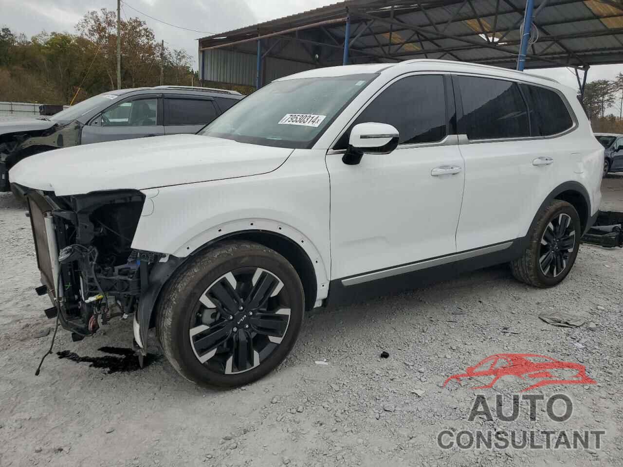 KIA TELLURIDE 2024 - 5XYP5DGC0RG426592