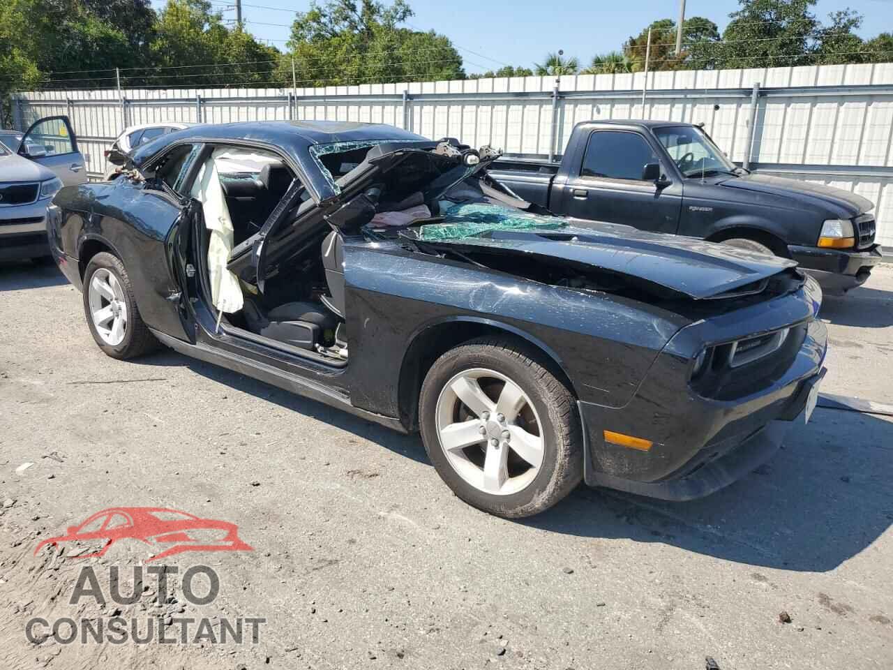 DODGE CHALLENGER 2013 - 2C3CDYAG2DH675110