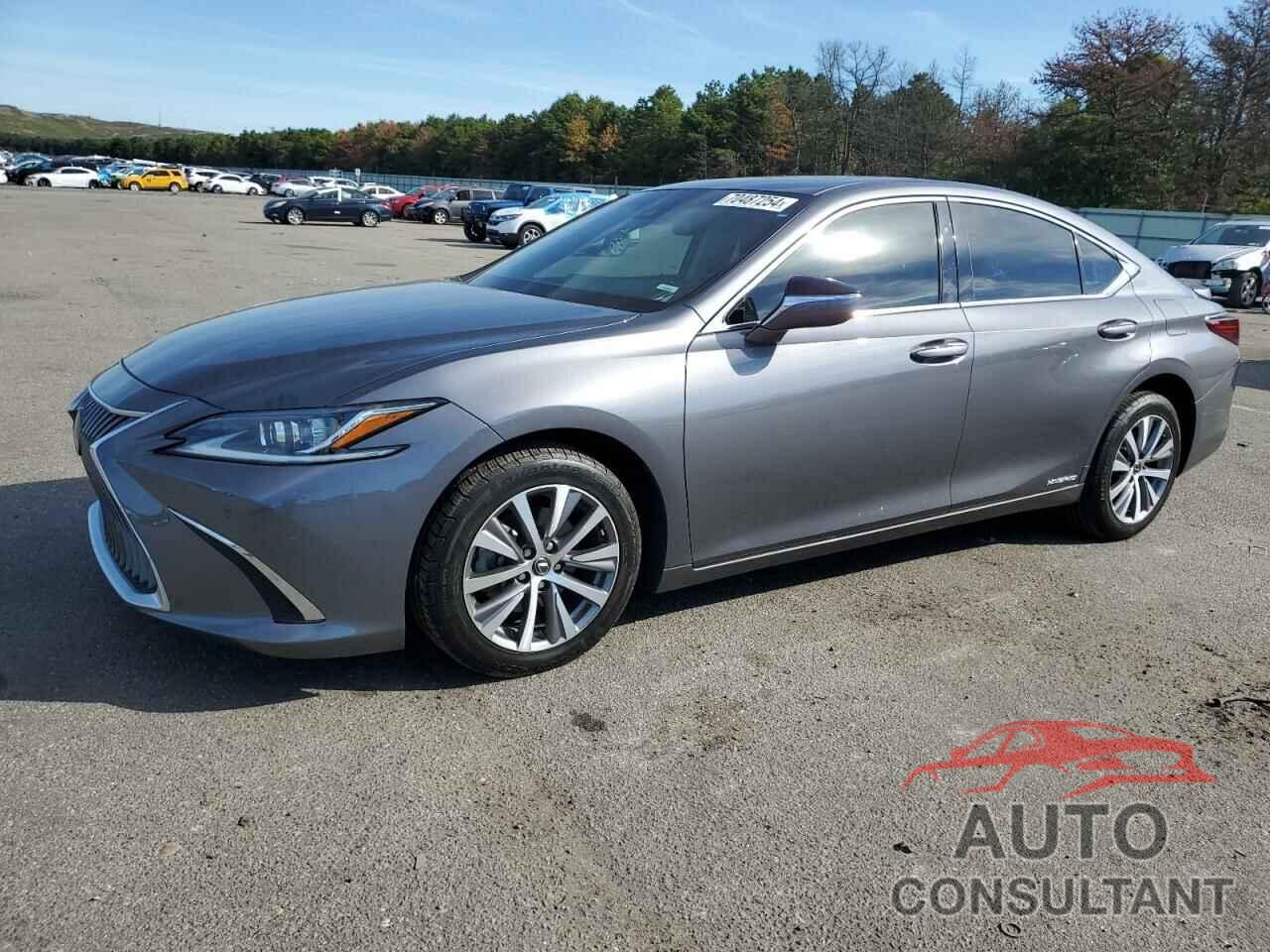 LEXUS ES300 2020 - 58AD21B17LU007133