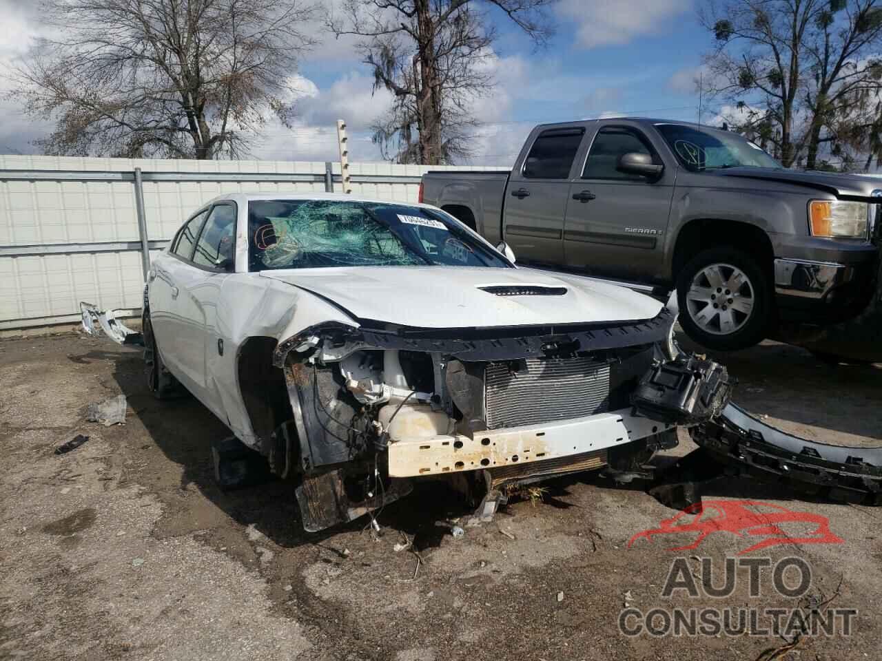 DODGE CHARGER 2020 - 2C3CDXGJ8LH120495