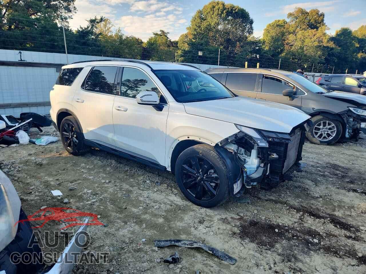 HYUNDAI PALISADE 2023 - KM8R3DGEXPU574191