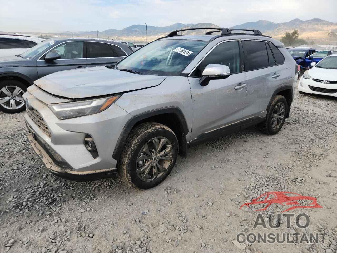 TOYOTA RAV4 2024 - 2T3B6RFV9RW065629