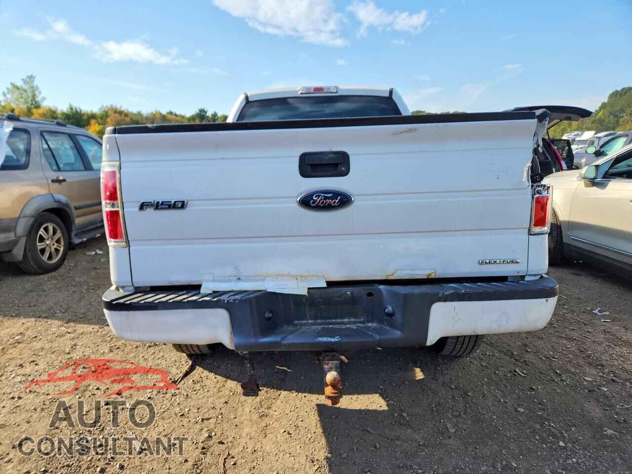 FORD F150 2013 - 1FTFX1EF4DFA01051