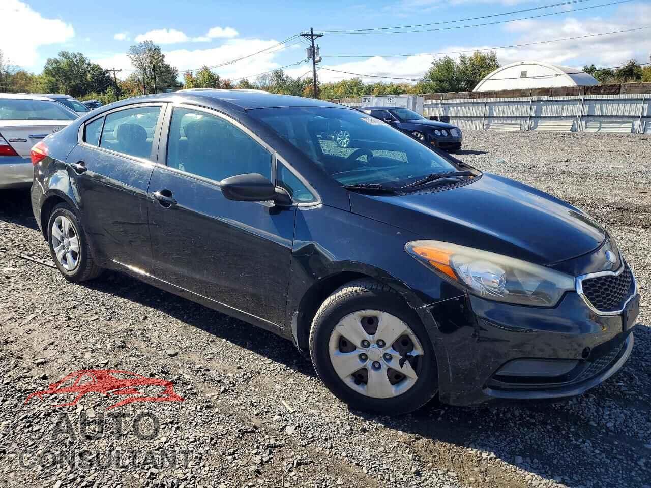 KIA FORTE 2014 - KNAFK4A65E5139630