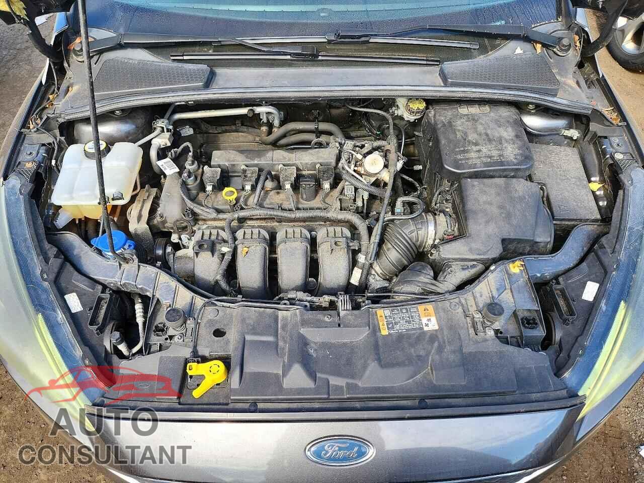FORD FOCUS 2016 - 1FADP3K29GL332935