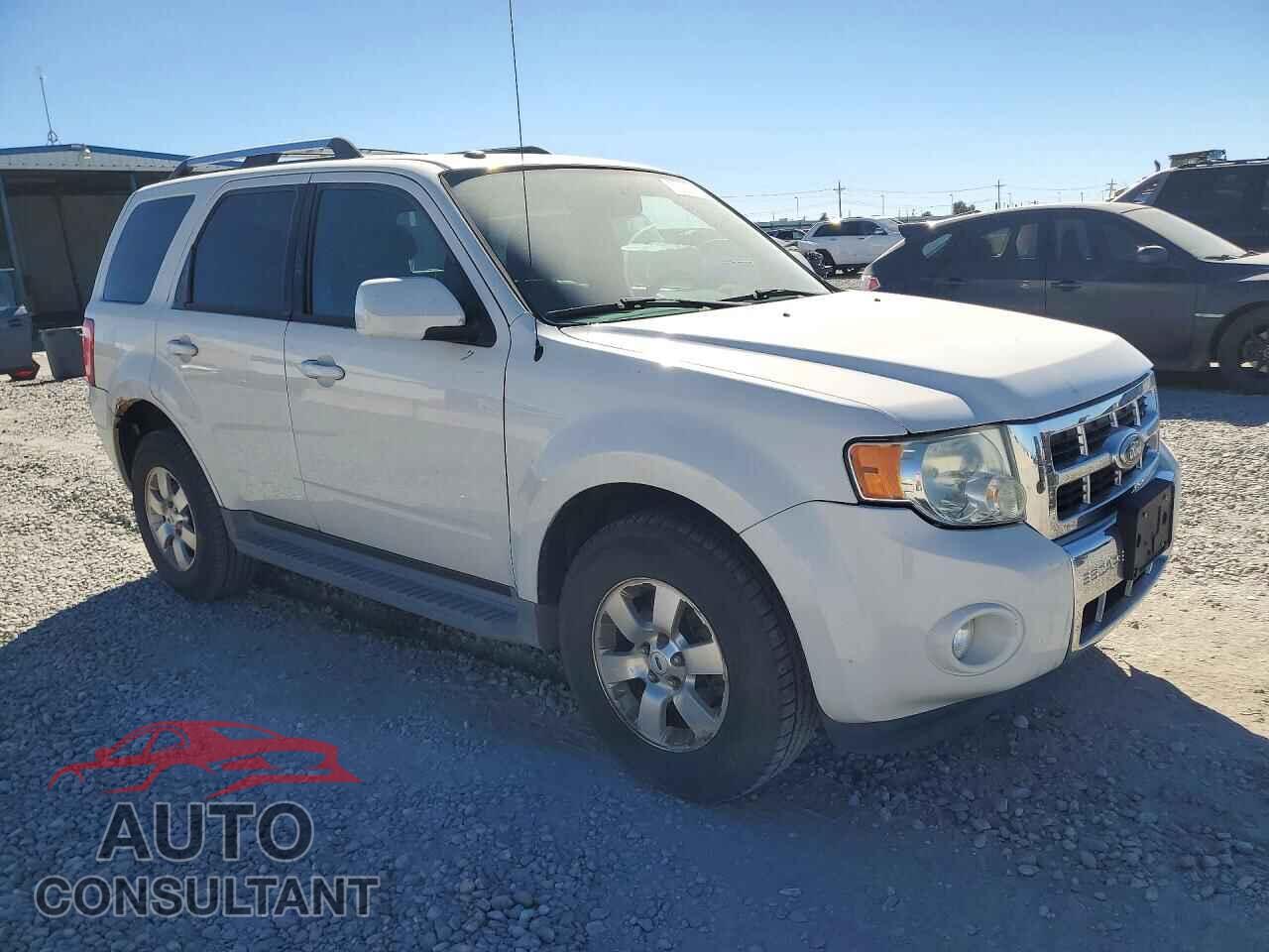 FORD ESCAPE 2010 - 1FMCU9EG1AKD38679