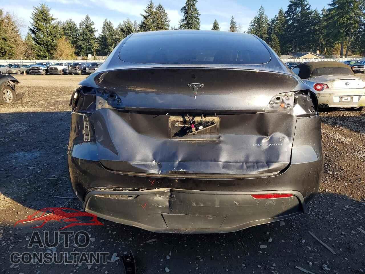 TESLA MODEL Y 2024 - 7SAYGDEE9RF205604