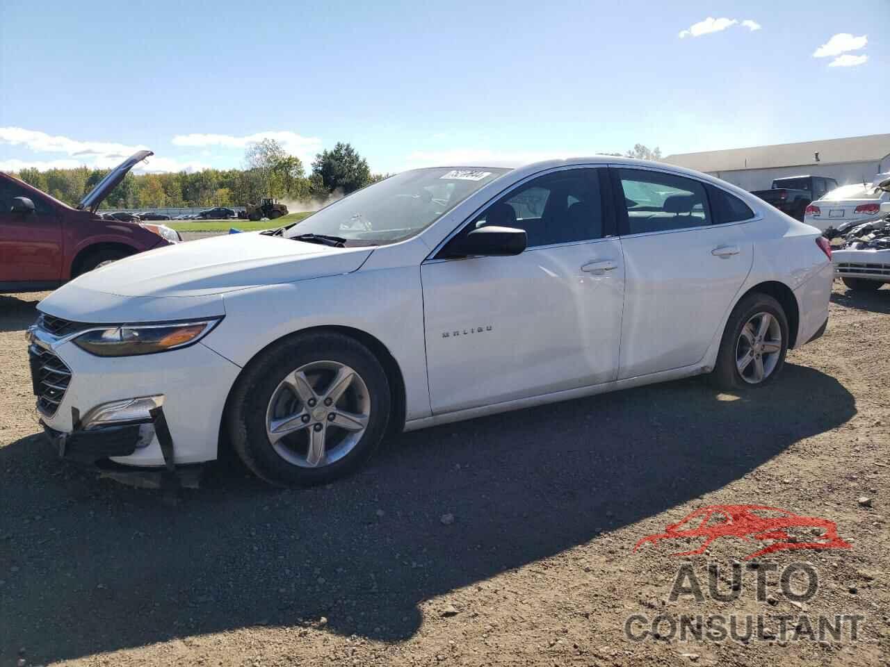 CHEVROLET MALIBU 2019 - 1G1ZB5ST7KF122790