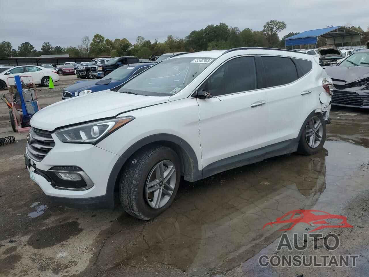 HYUNDAI SANTA FE 2017 - 5NMZUDLB8HH027359