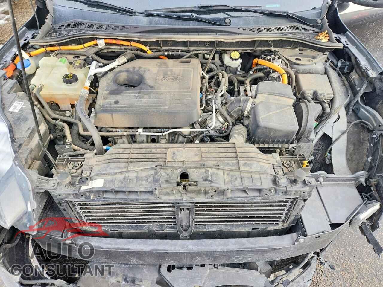 FORD ESCAPE 2020 - 1FMCU9DZ1LUA86538