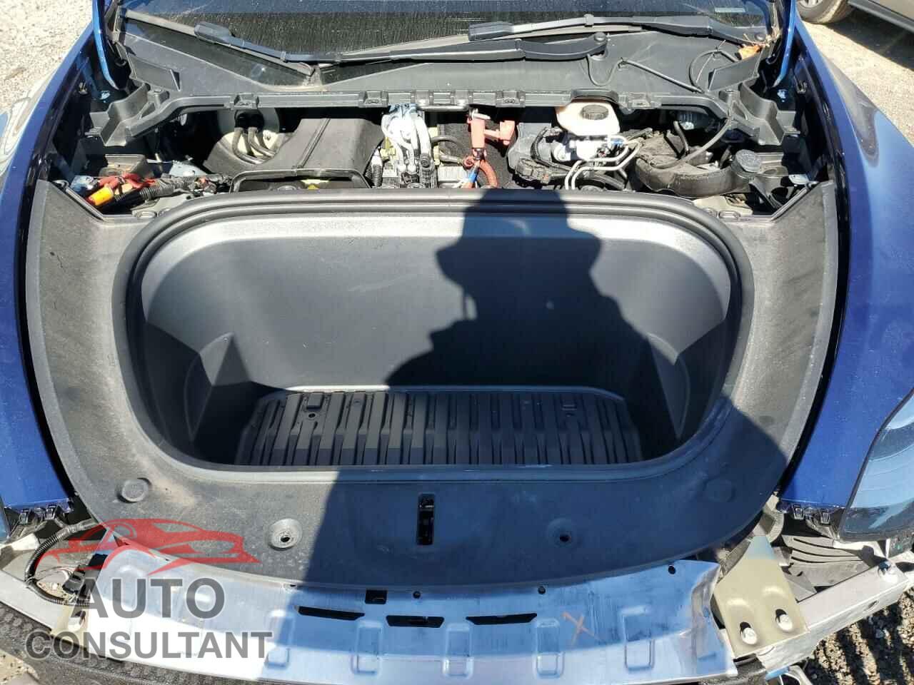 TESLA MODEL Y 2022 - 7SAYGDEE3NF445886