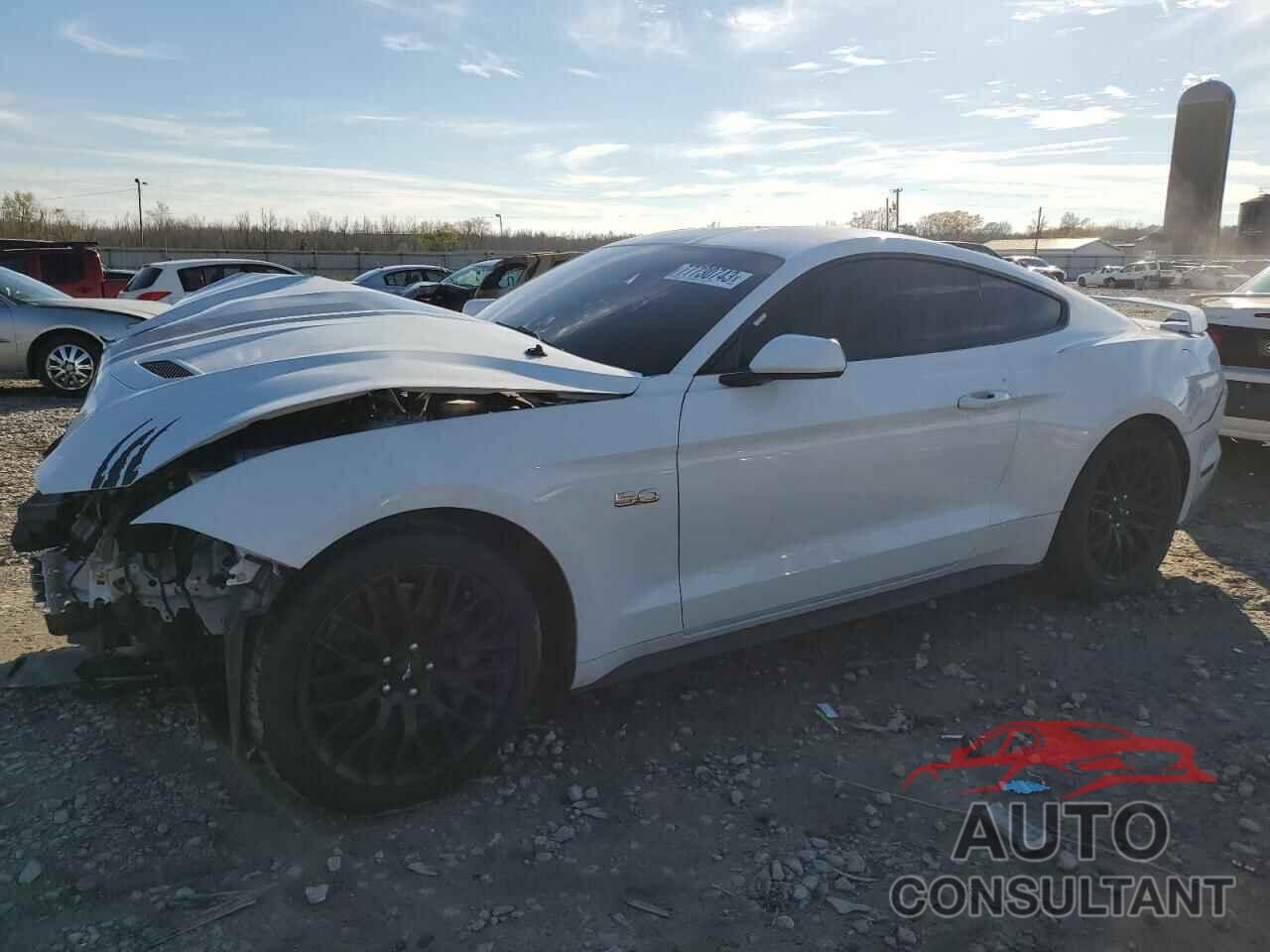 FORD MUSTANG 2019 - 1FA6P8CF1K5120082