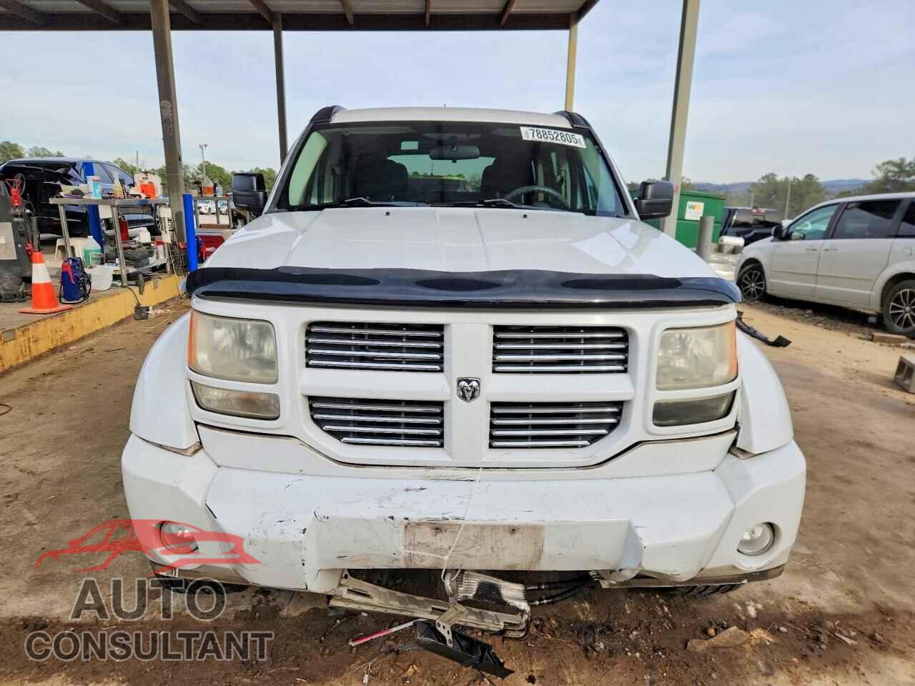 DODGE NITRO 2011 - 1D4PT4GK5BW596987
