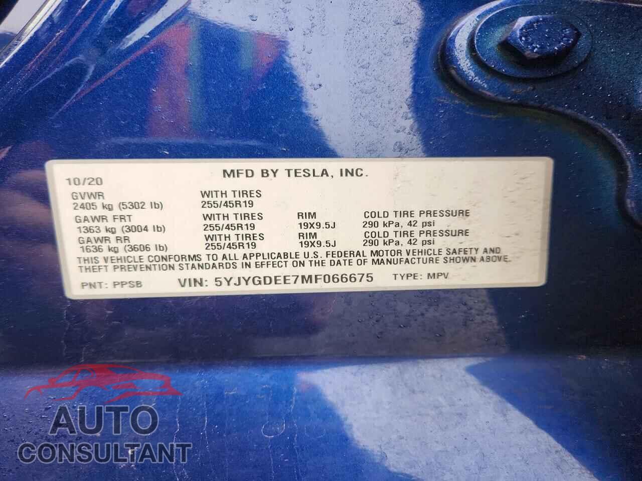 TESLA MODEL Y 2021 - 5YJYGDEE7MF066675