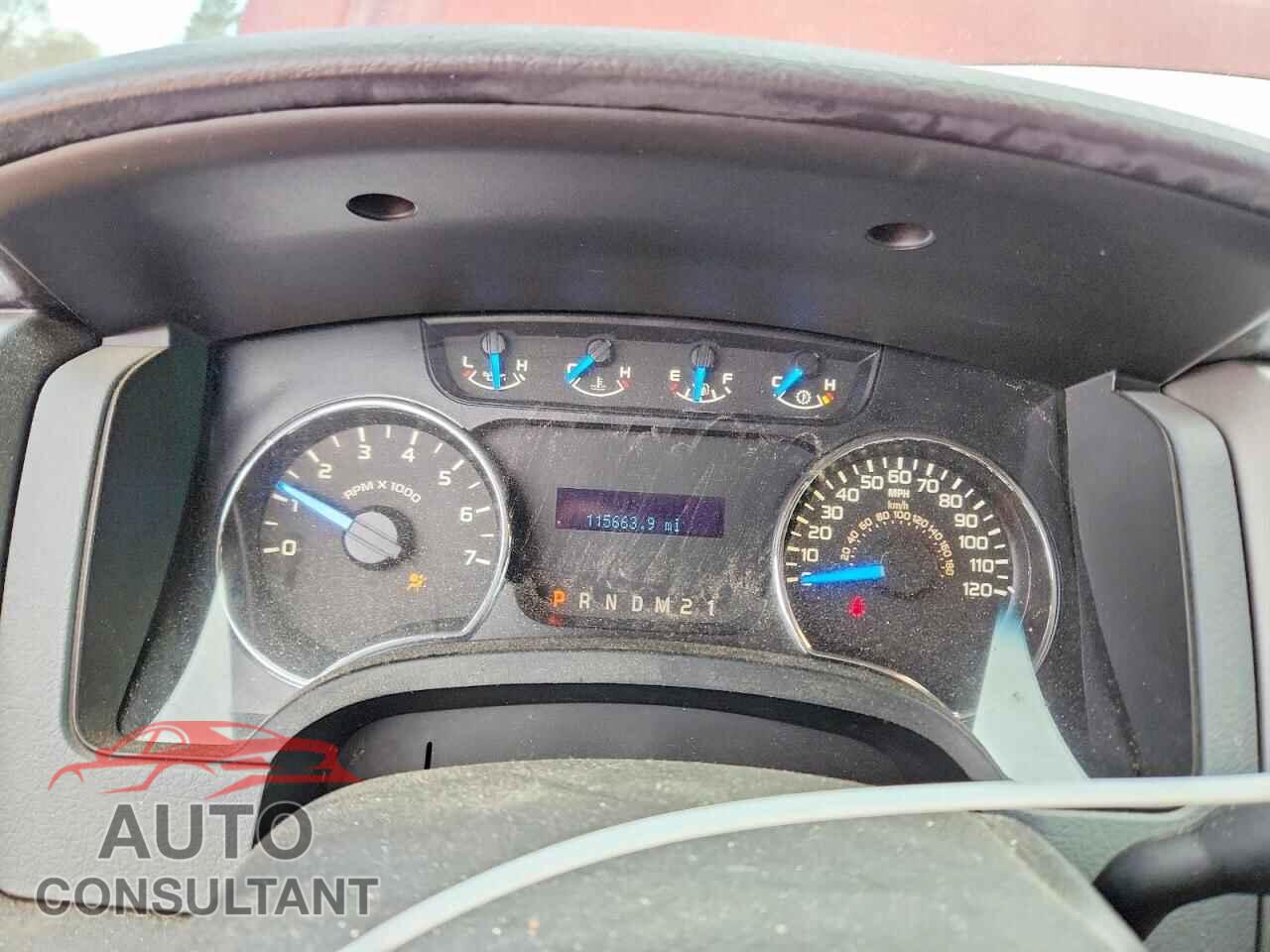 FORD F150 2013 - 1FTFW1CFXDFD30438