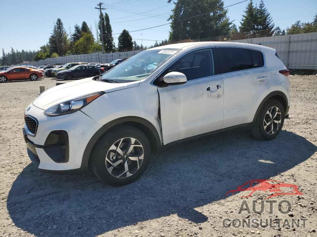 KIA SPORTAGE 2022 - KNDPM3AC1N7002657