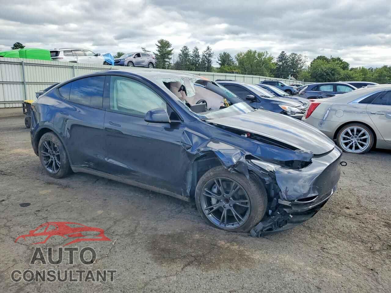 TESLA MODEL Y 2024 - 7SAYGDED6RF206765