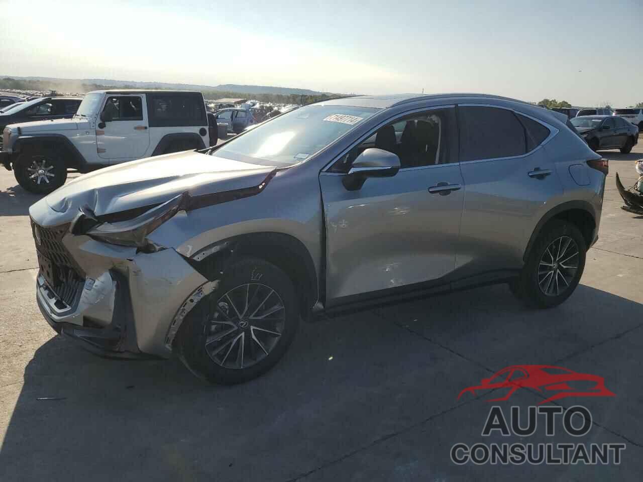 LEXUS NX 250 PRE 2024 - 2T2GDCAZ5RC008336