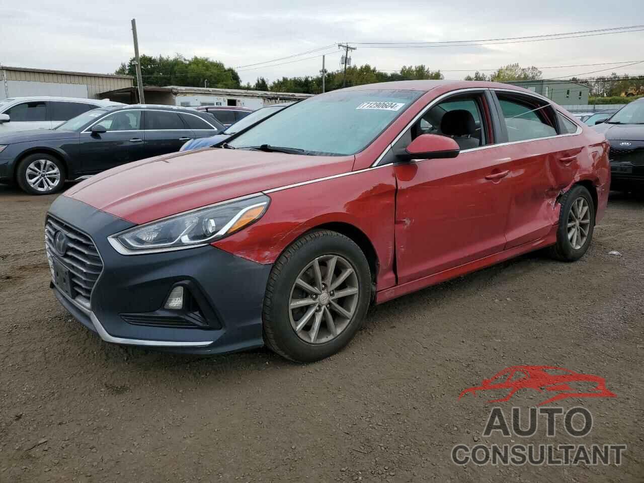 HYUNDAI SONATA 2019 - 5NPE24AF0KH815444