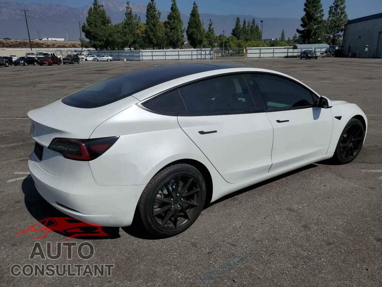 TESLA MODEL 3 2021 - 5YJ3E1EAXMF066035