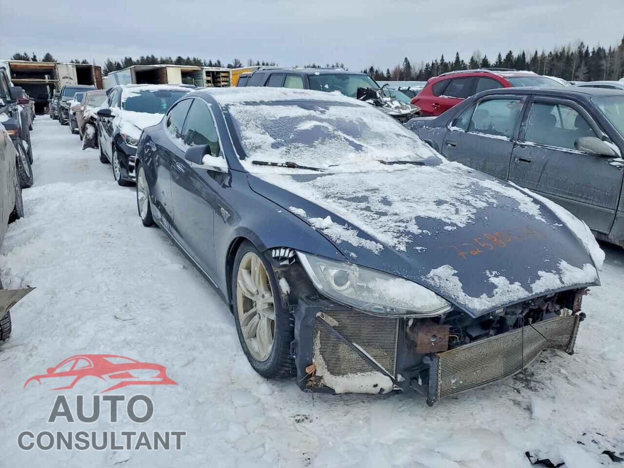 TESLA MODEL S 2015 - 5YJSA1H29FF096464