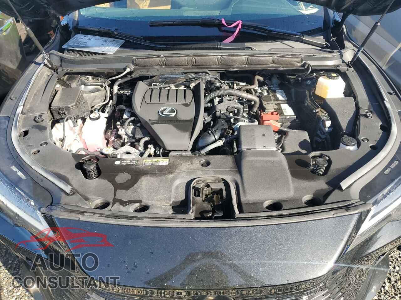 LEXUS RX350 2023 - 2T2BAMBA9PC007012