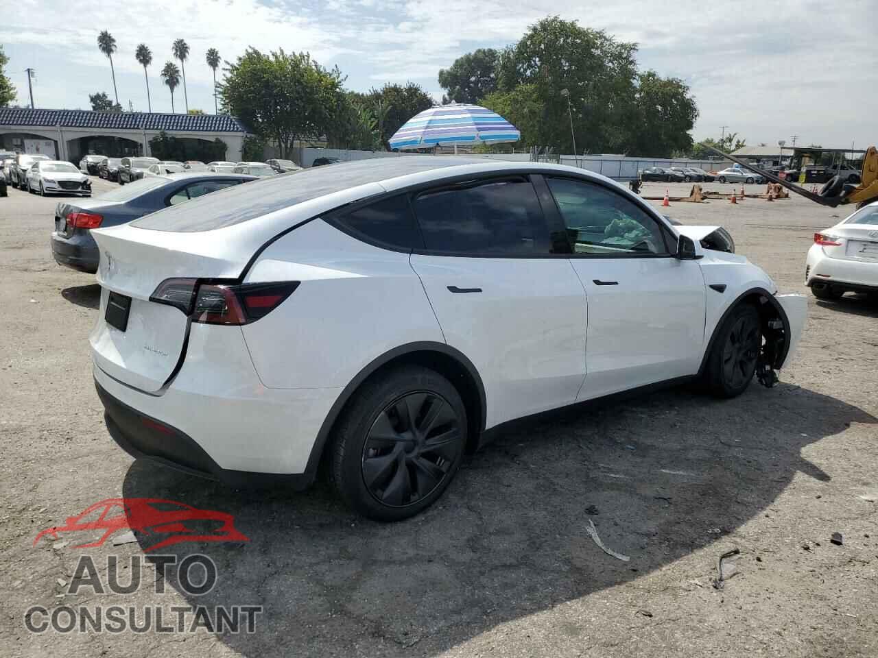 TESLA MODEL Y 2024 - 7SAYGDEE5RF131663