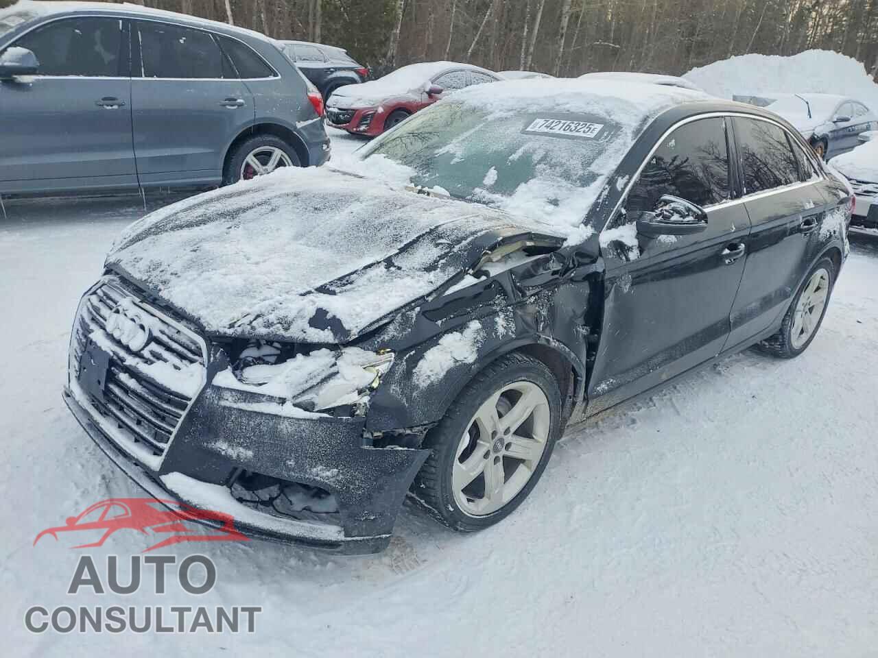 AUDI A3 2017 - WAUAUGFF1H1075435