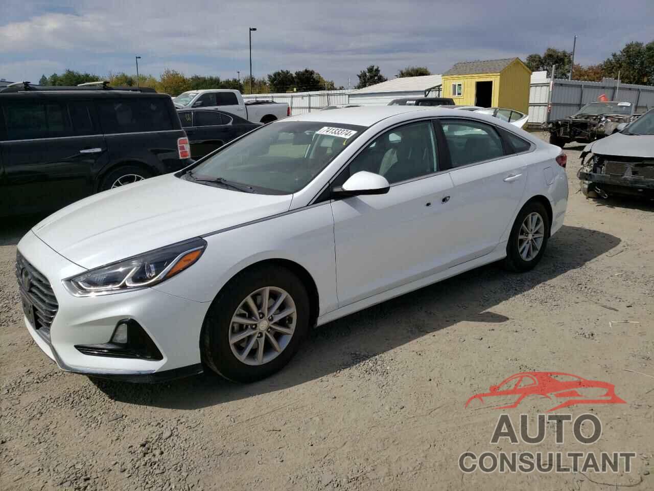 HYUNDAI SONATA 2019 - 5NPE24AF3KH762772