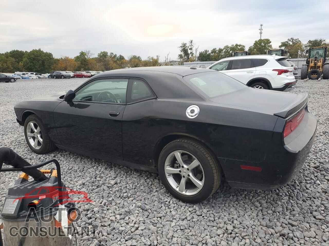 DODGE CHALLENGER 2013 - 2C3CDYAGXDH500846