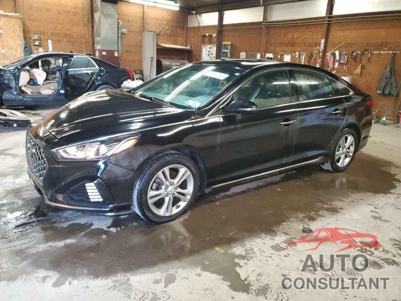 HYUNDAI SONATA 2018 - 5NPE34AF5JH613517