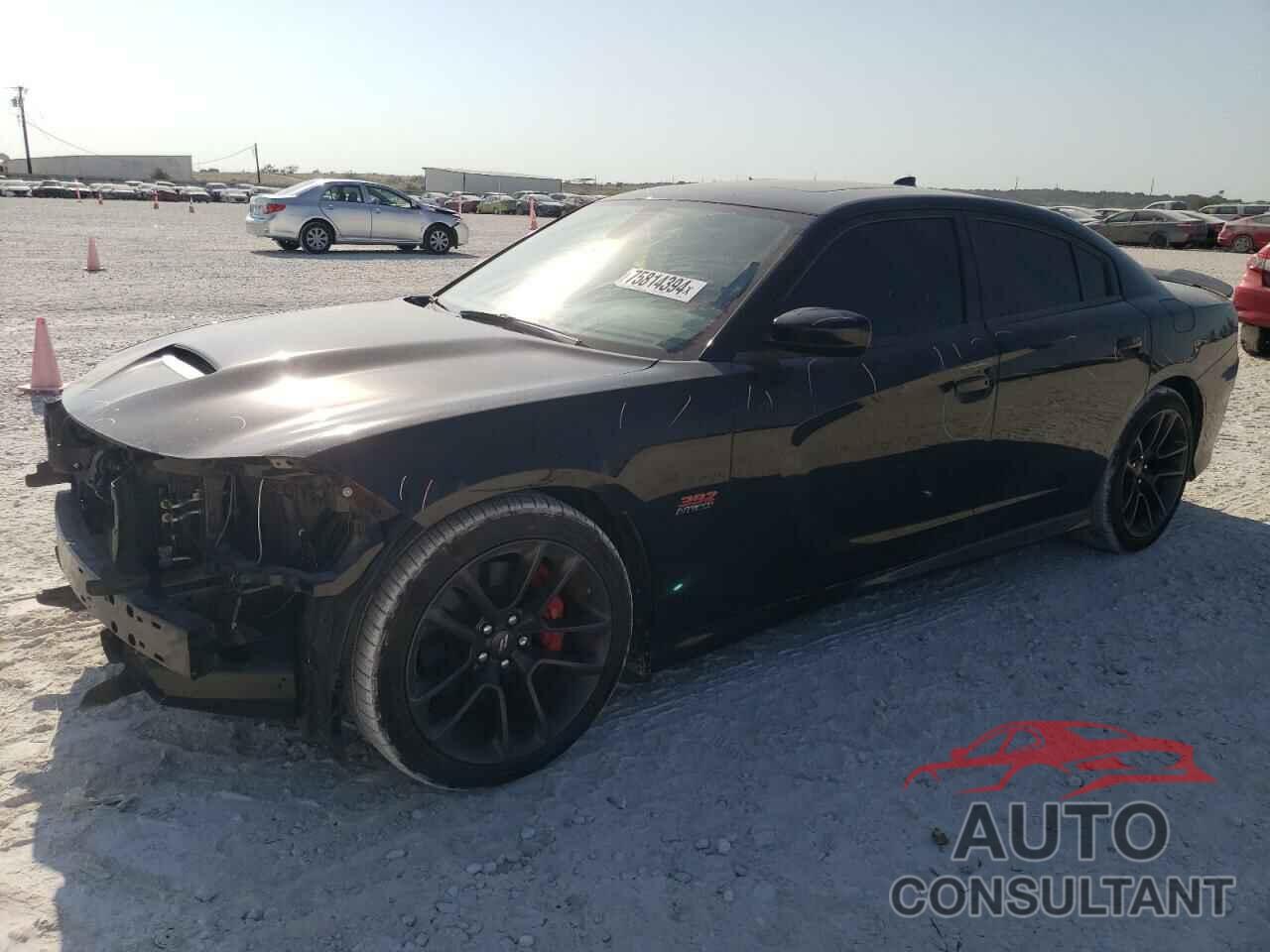 DODGE CHARGER 2022 - 2C3CDXGJ5NH159595