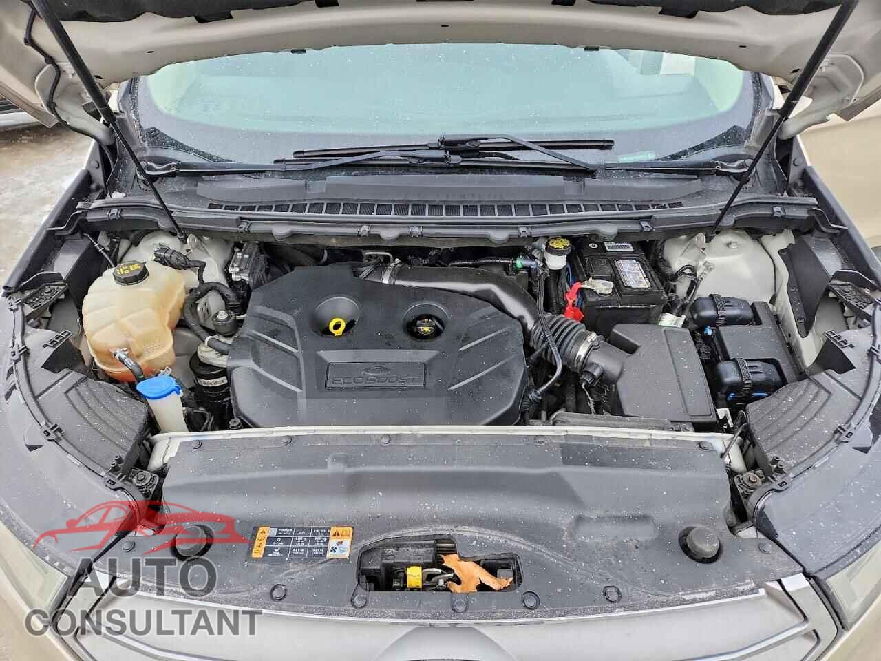 FORD EDGE 2018 - 2FMPK3G91JBC36229