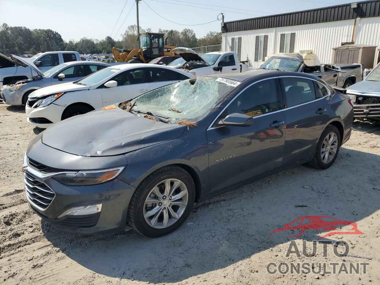 CHEVROLET MALIBU 2019 - 1G1ZD5ST4KF166675