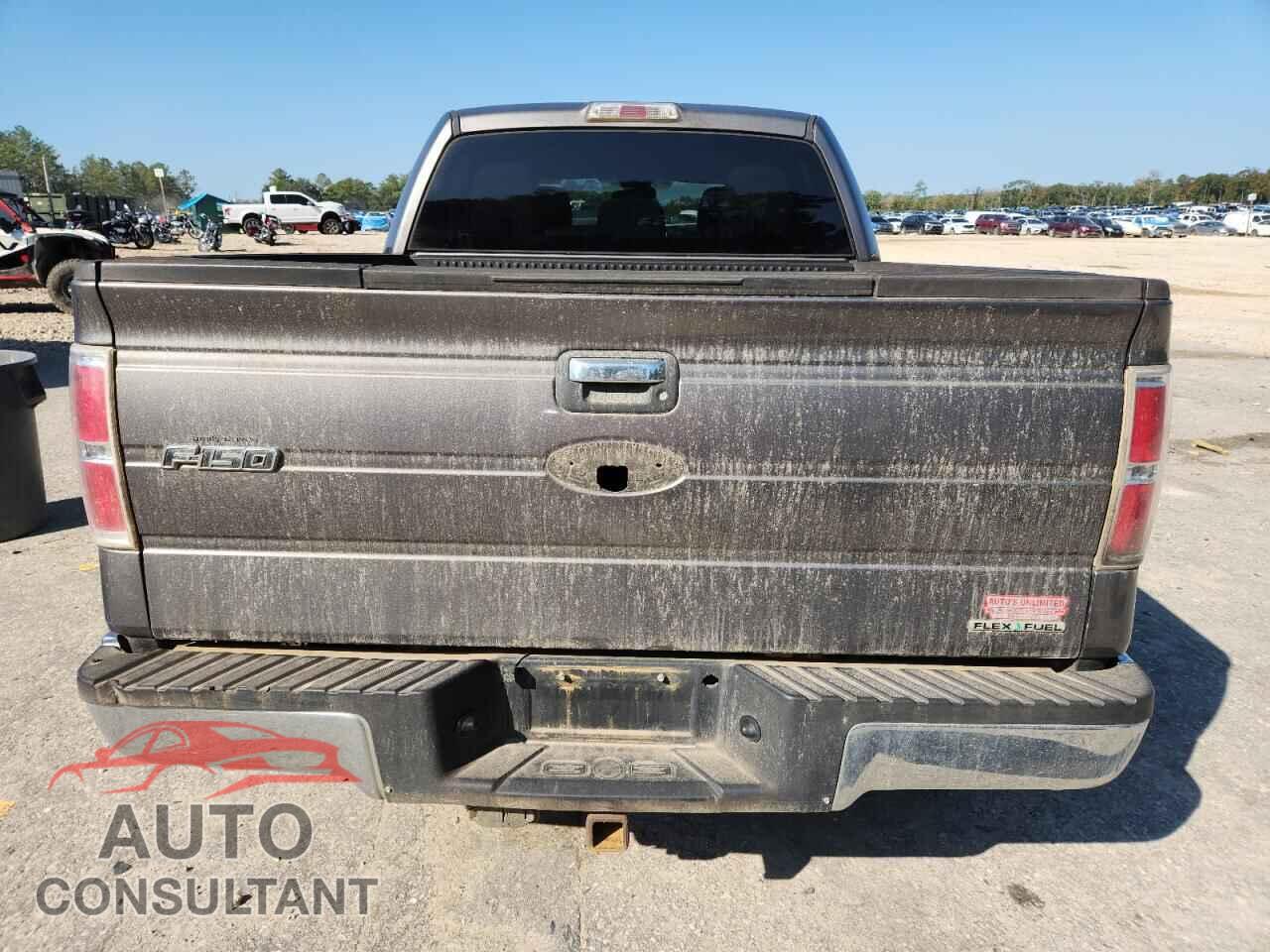 FORD F-150 2011 - 1FTFW1CF2BFA55368