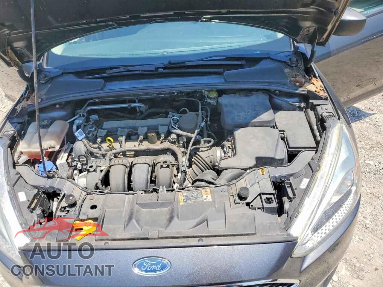 FORD FOCUS 2016 - 1FADP3E21GL248863
