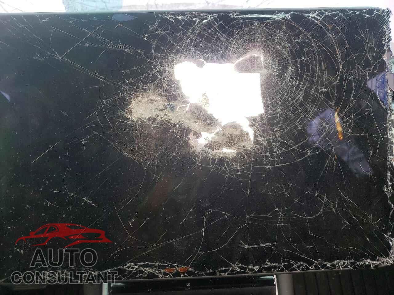 TESLA MODEL 3 2020 - 5YJ3E1EA2LF715809
