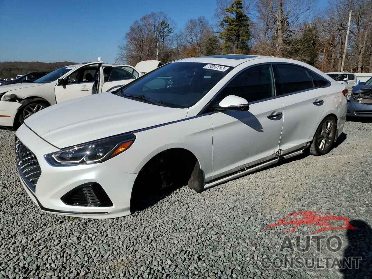 HYUNDAI SONATA 2019 - 5NPE34AF6KH819673