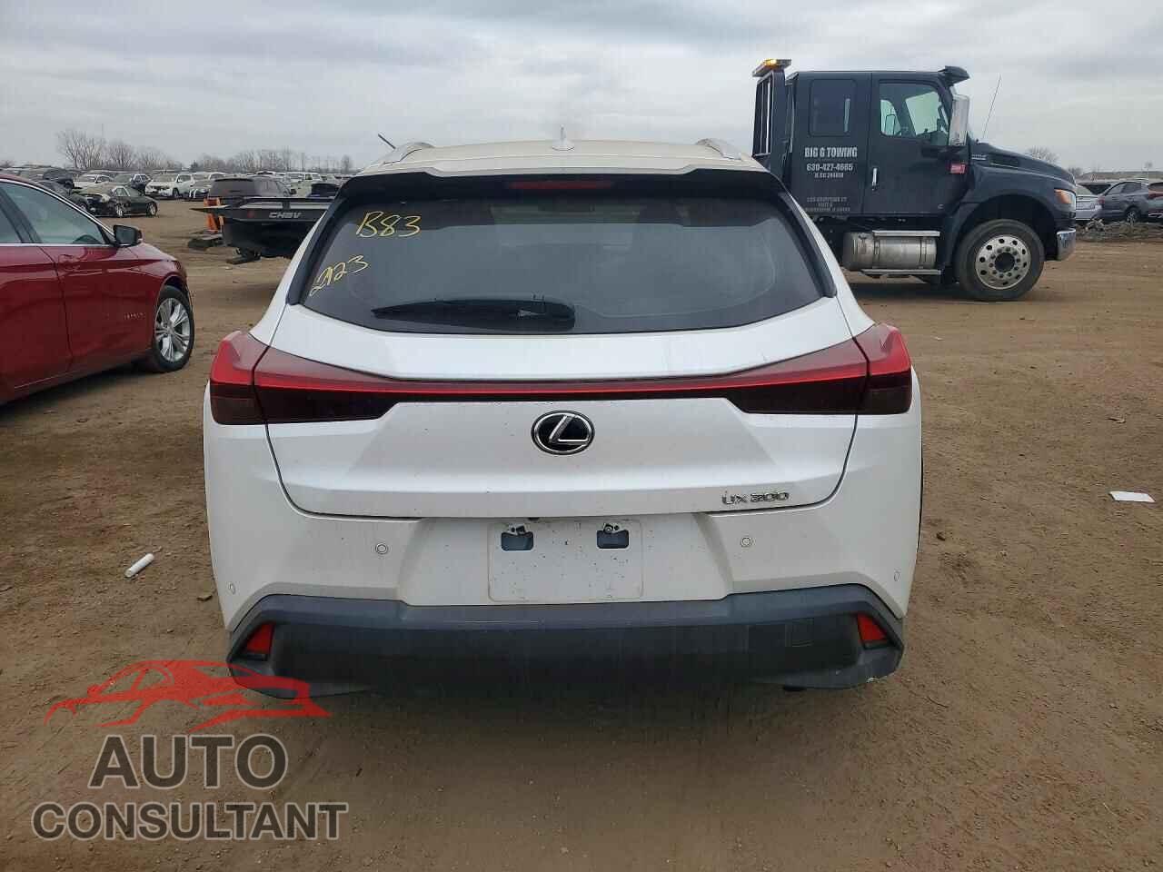 LEXUS UNKNOWN 2020 - JTHX3JBH3L2029238