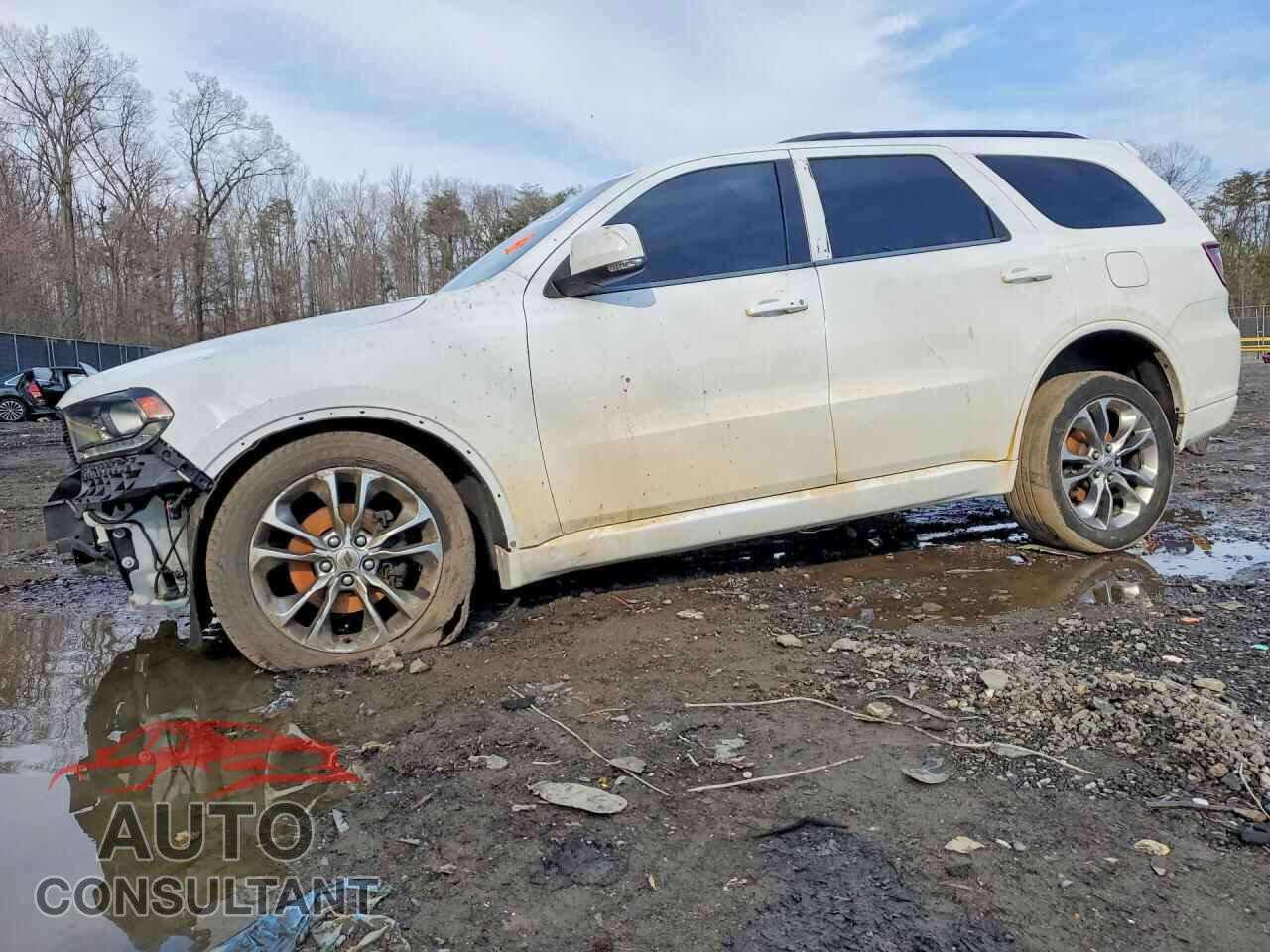 DODGE DURANGO 2019 - 1C4RDJDG5KC606467